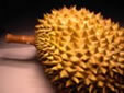 durian