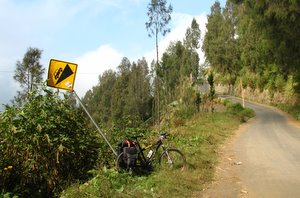 bromo