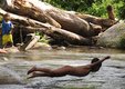 orang asli kids